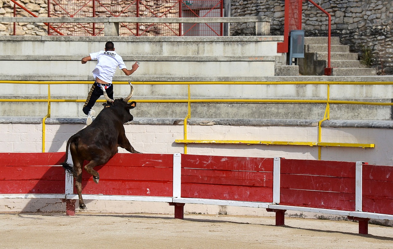 限究竟在哪