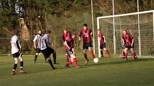 在国际乒乓 在国际乒乓