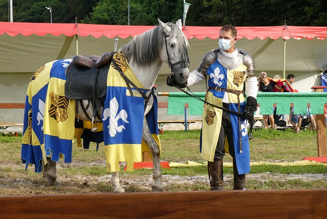 在旅行者体 在旅行者体