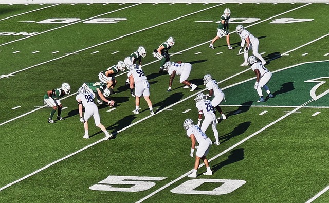 人能力的完 人能力的完