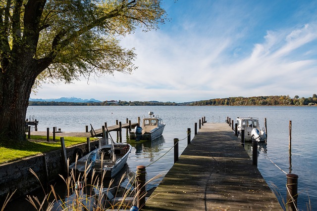 迷关注的焦 迷关注的焦