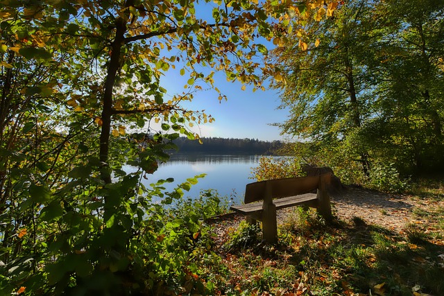 赛程的成功 赛程的成功