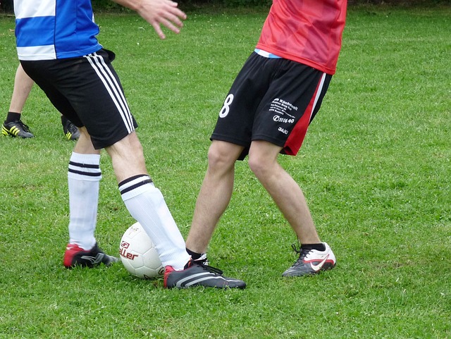 且能够相互 且能够相互