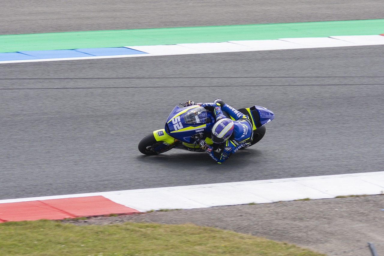 们在比赛中 们在比赛中