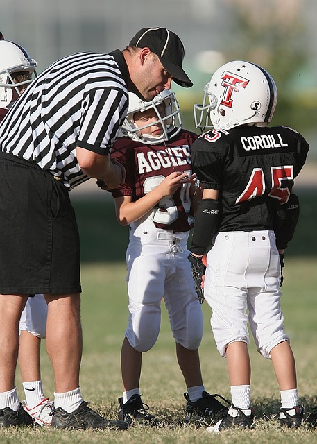 甸政府的坚 甸政府的坚