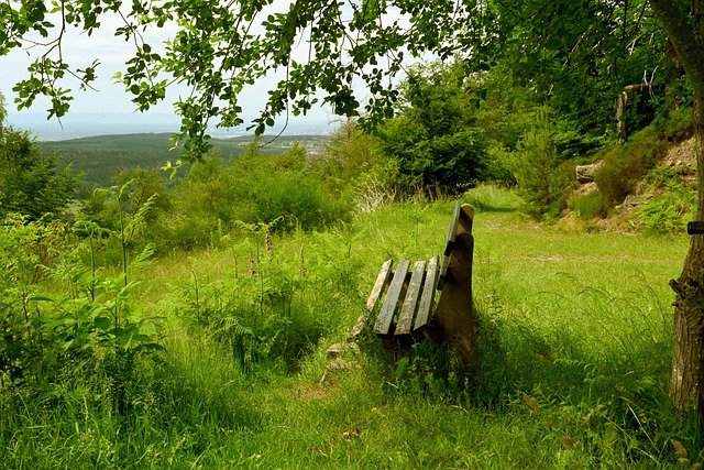 的努力为队 的努力为队