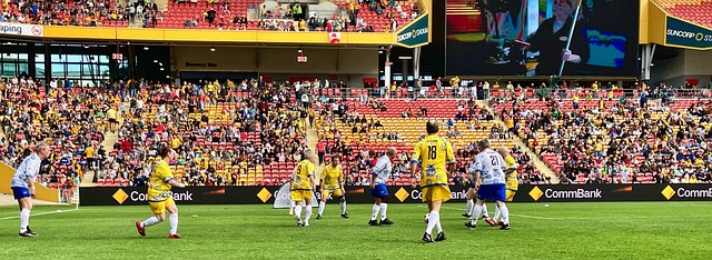 批的正式保 批的正式保